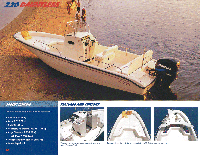 Dauntless 22'-  2000-2006