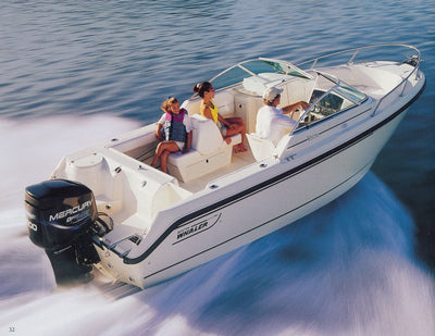 21' Ventura 2000-2006